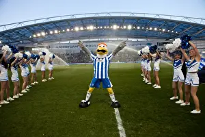 Reading - 10-04-2012 Prints: Brighton & Hove Albion vs. Reading (10-04-2012): A Memorable Game from the 2011-12 Season