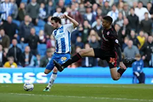 Brighton & Hove Albion vs. Reading: A 2013-14 Home Game (08-03-2014)