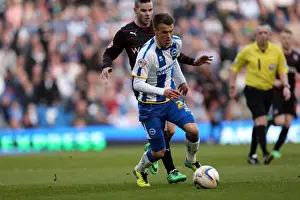Brighton & Hove Albion vs. Reading: A 2013-14 Home Game (March 8, 2014)
