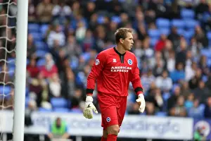 Brighton & Hove Albion vs. Reading: 2013-14 Season Away Game