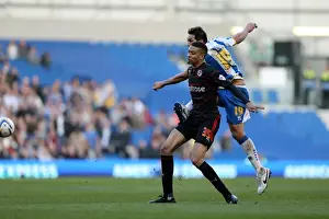 Brighton & Hove Albion vs. Reading - 2013-14 Season: Home Game Highlights (8-3-2014)