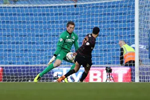 Brighton & Hove Albion vs. Reading - 2013-14 Season: Home Game Highlights (8-3-2014)