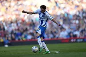 Brighton & Hove Albion vs. Reading - 2013-14 Season: Home Game Highlights (8-3-2014)