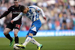 Brighton & Hove Albion vs. Reading - 2013-14 Season: Home Game Highlights (Reading, 08-03-2014)
