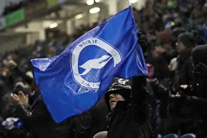 Brighton & Hove Albion vs. Reading: A 2014-15 Home Game (December 26)