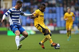 Images Dated 15th September 2013: Brighton & Hove Albion vs. Reading: 2013-14 Season Away Game