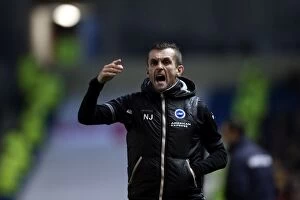Images Dated 4th January 2014: Brighton & Hove Albion vs. Reading: A Fight at the Amex - FA Cup Home Game