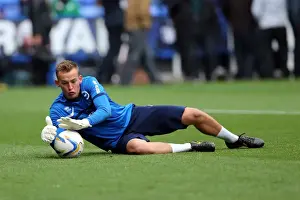 Reading - 15-09-2013 Prints: Brighton & Hove Albion vs. Reading (Away) - 15-09-2013: 2013-14 Season