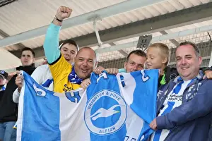 Reading - 15-09-2013 Prints: Brighton & Hove Albion vs. Reading (Away) - 15-09-2013: Away Game Highlights