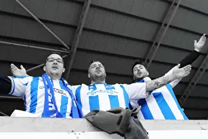 Reading - 15-09-2013 Prints: Brighton & Hove Albion vs. Reading (Away) - September 15