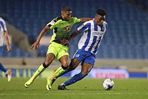 Brighton and Hove Albion vs. Reading: EFL Cup Showdown at American Express Community Stadium (2016)