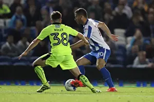 Brighton and Hove Albion vs. Reading: EFL Cup Showdown at American Express Community Stadium (2016)