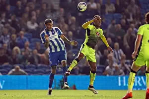 Brighton and Hove Albion vs. Reading: EFL Cup Showdown at American Express Community Stadium (2016)