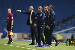 Brighton and Hove Albion vs. Reading: EFL Cup Showdown at American Express Community Stadium (2016)