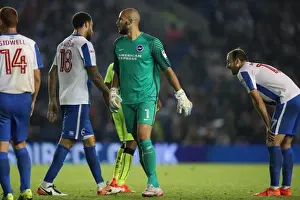 Brighton and Hove Albion vs. Reading: EFL Cup Showdown at American Express Community Stadium (2016)
