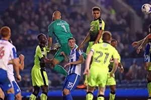 Brighton and Hove Albion vs. Reading: EFL Cup Showdown at American Express Community Stadium (2016)