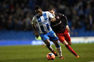 Reading (FAC) - 04-01-2014 Prints: Brighton & Hove Albion vs. Reading (F)