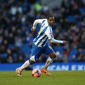 Reading (FAC) - 04-01-2014 Prints: Brighton & Hove Albion vs. Reading (F)