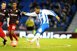 Reading (FAC) - 04-01-2014 Prints: Brighton & Hove Albion vs. Reading (F.A. Cup) - Home Game: 04-01-2014 (Season 2013-14)