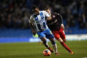 Images Dated 4th January 2014: Brighton & Hove Albion vs. Reading (F.A. Cup) - Home Game, January 4, 2014 (Season 2013-14)