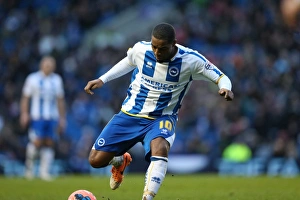 Reading (FAC) - 04-01-2014 Prints: Brighton & Hove Albion vs. Reading (FA Cup), Home Game - 04-01-2014 (Season 2013-14)