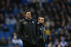 Reading (FAC) - 04-01-2014 Prints: Brighton & Hove Albion vs. Reading (FA Cup), Home Game - 04-01-2014 (Season 2013-14)