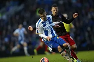 Images Dated 4th January 2014: Brighton & Hove Albion vs. Reading (FA Cup) - Home Game, 4th January 2014 (Season 2013-14)