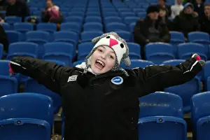Brighton & Hove Albion vs. Reading - FA Cup Clash: 2013-14 Season Home Game