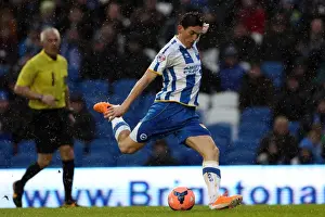 Reading (FAC) - 04-01-2014 Prints: Brighton & Hove Albion vs. Reading (FA Cup) - Home Game: 04-01-2014, Season 2013-14