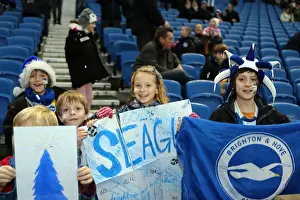 Reading (FAC) - 04-01-2014 Prints: Brighton & Hove Albion vs. Reading (FA Cup) - Home Game: 04-01-2014 (Season 2013-14)