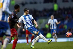 Reading (FAC) - 04-01-2014 Prints: Brighton & Hove Albion vs. Reading (FA Cup) - Home Game: 04-01-2014 (Season 2013-14)