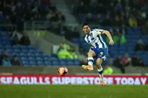 Reading (FAC) - 04-01-2014 Prints: Brighton & Hove Albion vs. Reading (FA Cup) - Home Game: 04-01-2014 (Season 2013-14)
