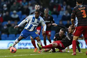 Brighton & Hove Albion vs. Reading (FA Cup) - Home Game: 04-01-2014 (Season 2013-14)