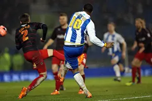 Brighton & Hove Albion vs. Reading (FA Cup) - Home Game: 04-01-2014 (Season 2013-14)