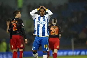Brighton & Hove Albion vs. Reading (FA Cup) - Home Game: 04-01-2014 (Season 2013-14)
