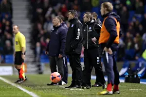 Reading (FAC) - 04-01-2014 Prints: Brighton & Hove Albion vs. Reading (FA Cup) - Home Game: 04-01-2014 (Season 2013-14)