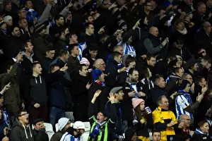Reading (FAC) - 04-01-2014 Prints: Brighton & Hove Albion vs. Reading (FA Cup) - Home Game, 04-01-2014: Season 2013-14