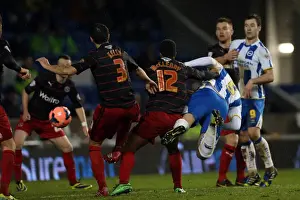 Brighton & Hove Albion vs. Reading (FA Cup) - Home Game, 4th January 2014 (Season 2013-14)