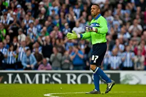 Reading Prints: Brighton & Hove Albion vs. Reading: A Look Back at the 2012-13 Pre-Season Encounter
