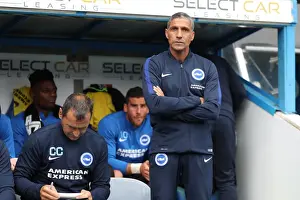 Brighton and Hove Albion vs. Reading: Sky Bet Championship Showdown at Madejski Stadium (2016.08.20)