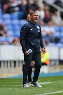 Brighton and Hove Albion vs. Reading: Sky Bet Championship Showdown at Madejski Stadium (2016.08.20)