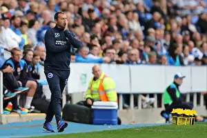 Brighton and Hove Albion vs. Reading: Sky Bet Championship Showdown at Madejski Stadium (August 20, 2016)