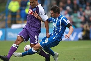 Images Dated 14th August 2010: Brighton & Hove Albion vs Rochdale: 2010-11 Home Season