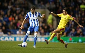 Brighton and Hove Albion vs Rotherham United: Sky Bet Championship Showdown at American Express Community Stadium (September 15, 2015)