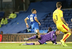 Brighton and Hove Albion vs Rotherham United: Sky Bet Championship Showdown at American Express Community Stadium (September 15, 2015)