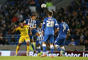 Brighton and Hove Albion vs Rotherham United: Sky Bet Championship Showdown at American Express Community Stadium (September 15, 2015)
