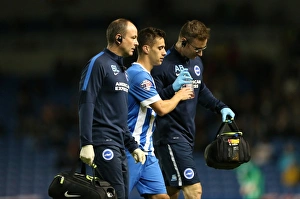 Brighton and Hove Albion vs Rotherham United: Sky Bet Championship Showdown at American Express Community Stadium (September 15, 2015)