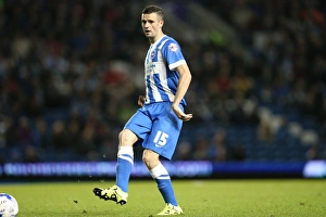 Brighton & Hove Albion vs Rotherham United: Sky Bet Championship Showdown at American Express Community Stadium (September 15, 2015)