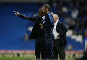 Brighton and Hove Albion vs Rotherham United: Sky Bet Championship Showdown at American Express Community Stadium (September 15, 2015)