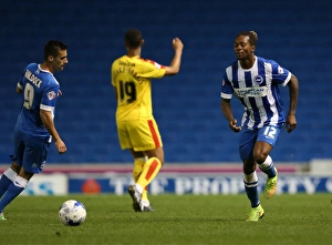 Brighton and Hove Albion vs Rotherham United: Sky Bet Championship Showdown at American Express Community Stadium (September 15, 2015)